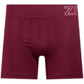 Cueca FELIPE  Boxer Sem Costura Antialérgica ZR01000011